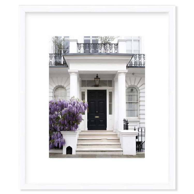 Spot of Wisteria