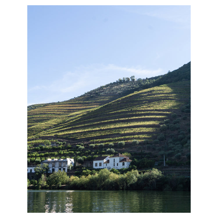 Winery on the Douro River