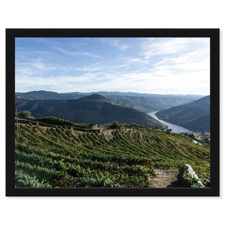 View of the Douro Valley