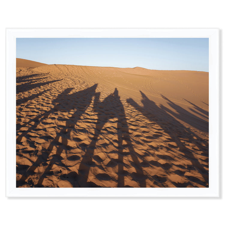 Sahara Desert Camel Shadows I